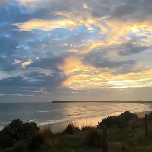 女人被添高潮免费视频
