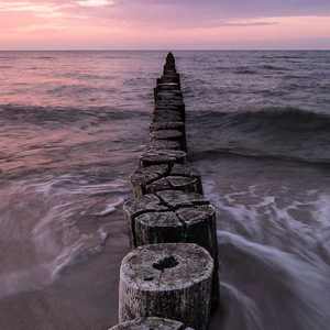 女人被添高潮免费视频
